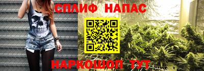 сатива Будённовск