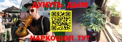 сатива Будённовск