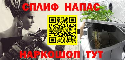 сатива Будённовск