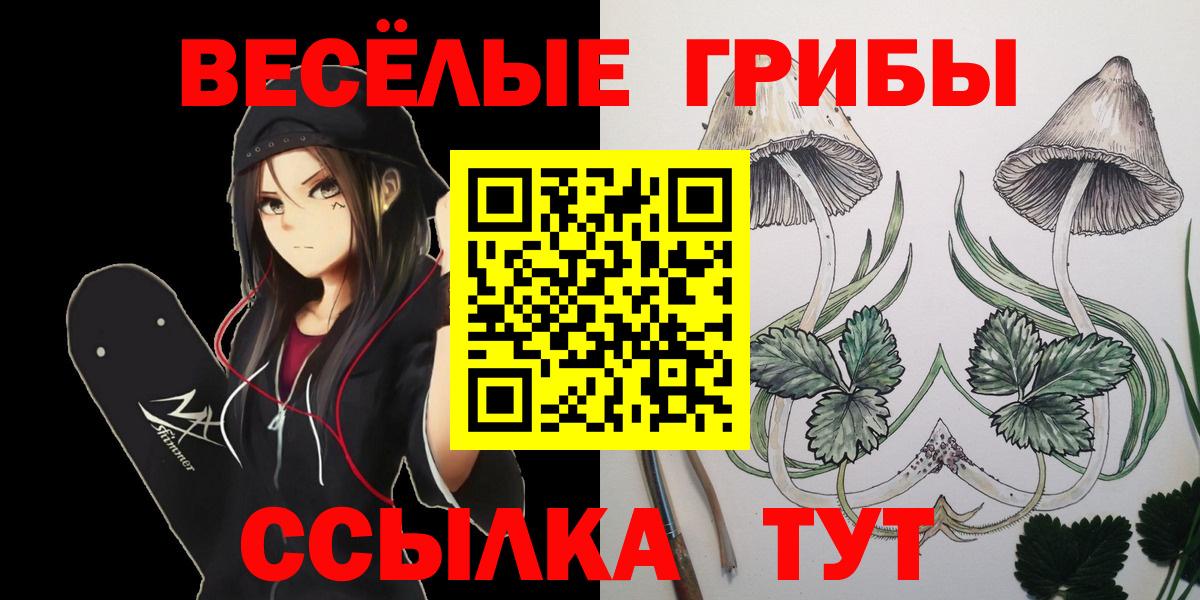 Галлюциногенные грибы Psilocybe  Вход с VPN  Смоленск 