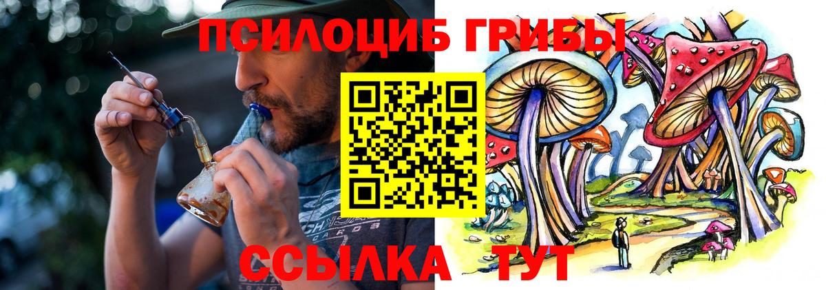 Галлюциногенные грибы прущие грибы Смоленск